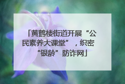 黄鹤楼街道开展“公民素养大课堂”，织密“银龄”防诈网